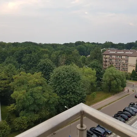 Diva * コウォブジェク